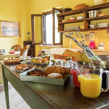 Historic In With Swimming Pool Apartment Saludecio